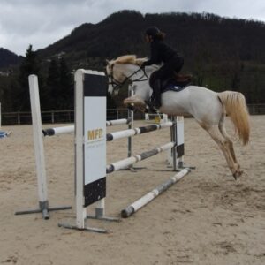 Warm Up de la MFR : rendez-vous aux Écuries de Crossey les 24 et 26 février